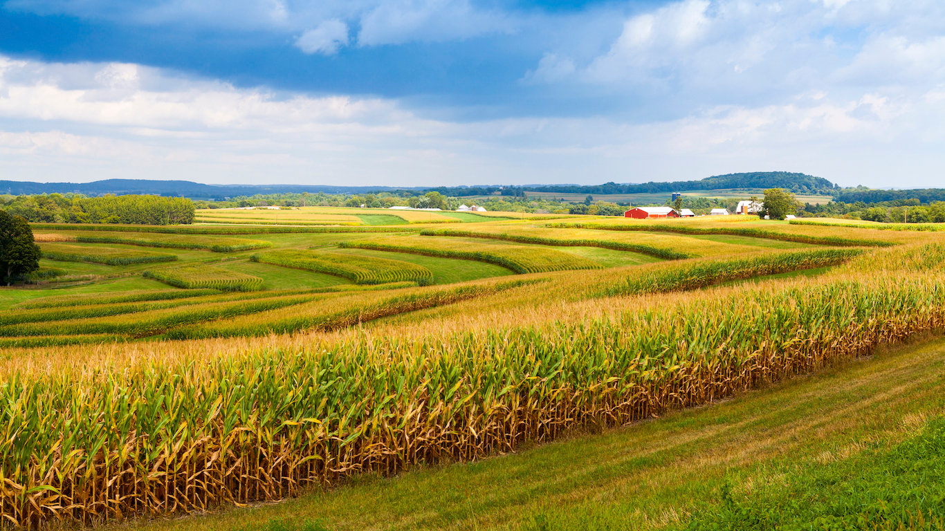 Iowa farmland, corn
